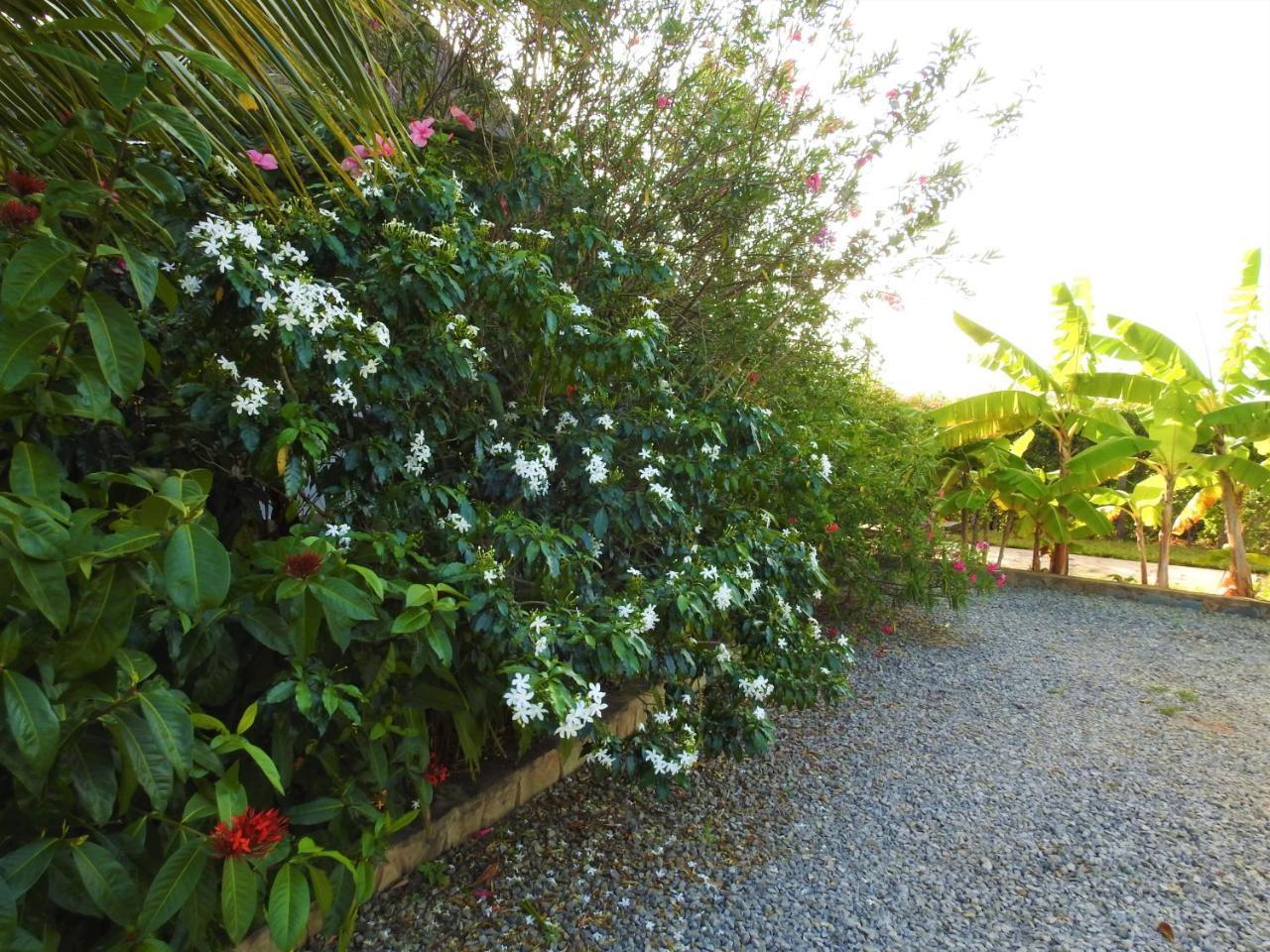 Sheba Cottages - Diani Beach Eksteriør bilde