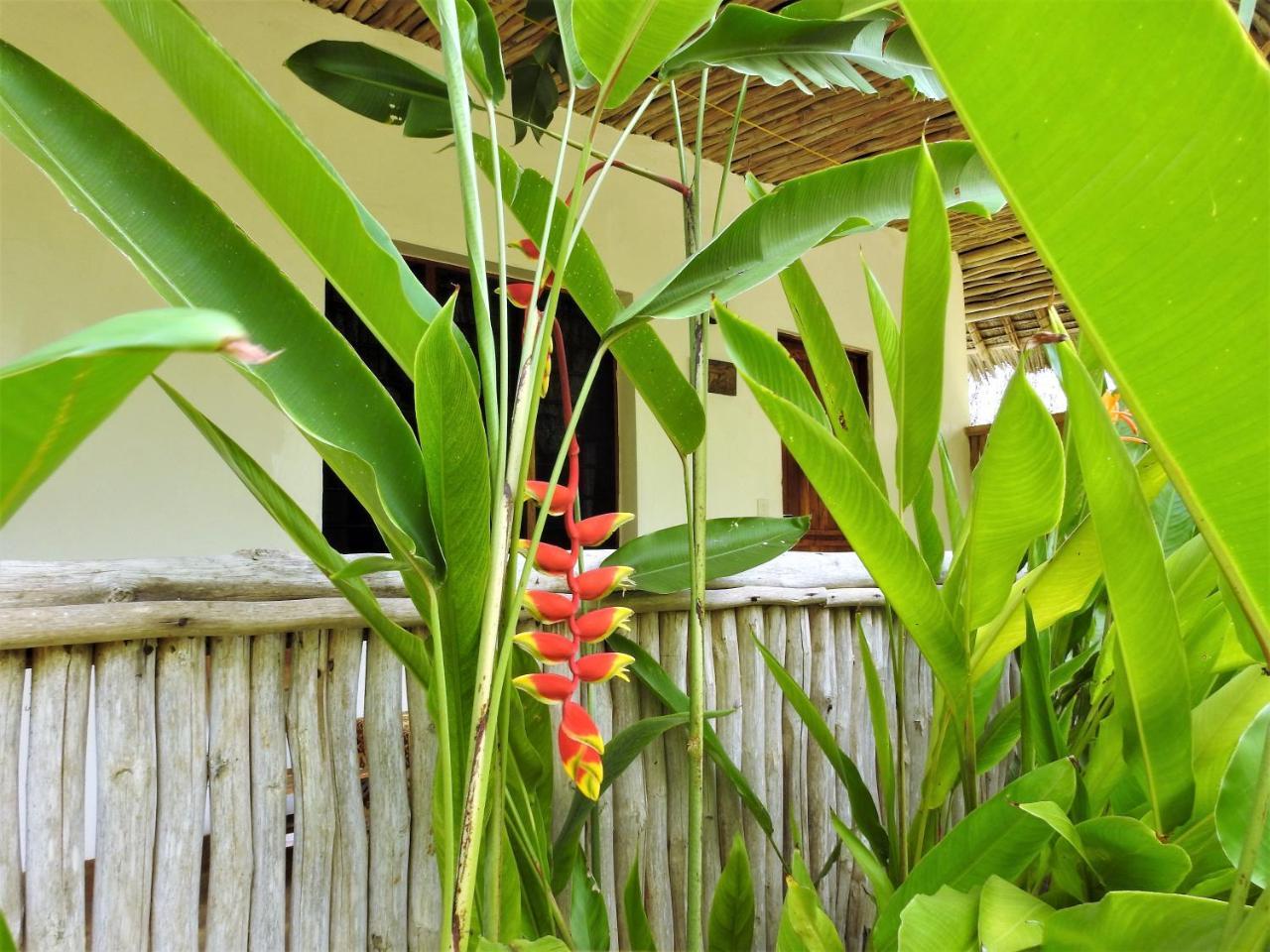 Sheba Cottages - Diani Beach Eksteriør bilde